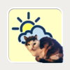 [WeatherCatPad App]
